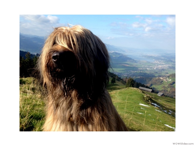 29.10.14.21