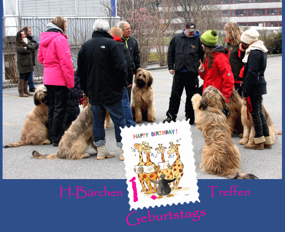 Briardtreffen Schweiz 
